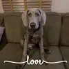 Joni Hermann Gray - @jonihermanngray - TikTok