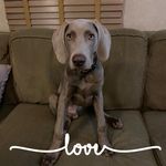 Joni Hermann Gray - @joni.gray - Instagram