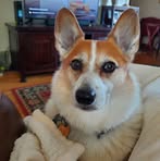 Joni Griffin - Facebook