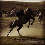 Joni Griffiths - @joni_griffiths - Instagram