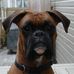 Joni Sousa-Guthrie - Facebook