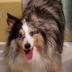 Joni Hall - @joni.hall.16 - Instagram