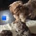 Joni Parsons Hensley - Facebook