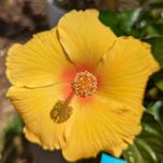 Joni Hoffman-Ward - @jonihoffman - Instagram