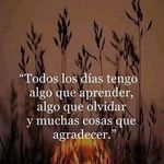 Joni Huerta - @joni.huerta.522 - Instagram