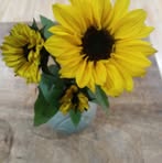 Joni Hunt - Facebook