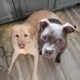 Joni Hunt - Facebook