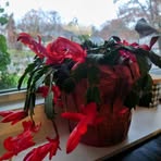 Joni Hunter - Facebook