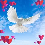 Joni Jacobs - Facebook