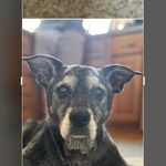 Joni Jacobson - @joni.jacobson.3 - Instagram