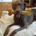 Joni Jacobson Hartsell - Facebook