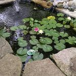 Joni Lawson - @joni.lawson.77 - Instagram