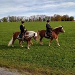 Jonas Lindner - @joni_lindner - Instagram