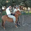 Joni López🐎❣️ - @jonilopez - TikTok