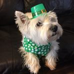 Joni McLean - Facebook
