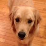 Joni Moore - @jtmoore_00 - Instagram