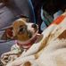 Joni Nicholson - Facebook