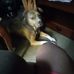 Joni Nicholson - Facebook