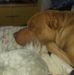 Joni Nicholson - Facebook