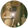 joni Ramirez@ - @teamcanguroo632 - TikTok