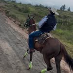 Joni Ramirez - @joniramirez65 - Instagram