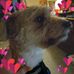 Jonie Randall - Facebook