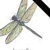 Jeannie Ritchie - Facebook