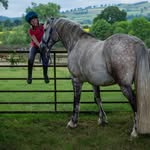 Joni rogers - @jonis_pony - Instagram