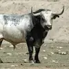Joni Ruiz - @joni.ruiz72 - TikTok