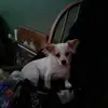 Joni Ryan - @joni.ryan8 - TikTok