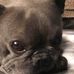Joni South Callender - Facebook