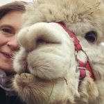 Joni Summers - @joni_summers - Instagram