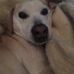 Joni Todd - Facebook