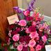 Joni Wallace - Facebook