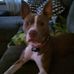 Joni Warren Oakes - Facebook