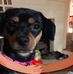 Joni Willis - Facebook