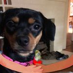Joni Willis - @joni.willis.7564 - Instagram