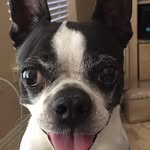 Joni Wood-Smith - @joniwoodsmith - Instagram