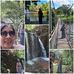 Jonie  Brown - Facebook