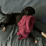 Jonie Brown - @jonie1448 - Instagram