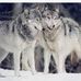 Jonie Brown - Facebook