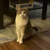 Jonnahuntz - @jonnahuntz - TikTok