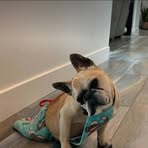 Joanne Williams - Facebook
