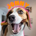 Jonny Boy 🐶🤠👑 - @jonny._the.beagle - Instagram