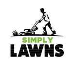 Jonny Chan - @simplylawnsnz - Instagram