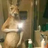 Jonny Cruz Aleman - @jonny.151 - TikTok