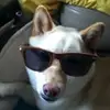 jonnydelgado - @jonnydelgado8 - TikTok