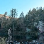 Jonathan Witt - @jonny_yellow_dodge - Instagram