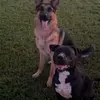 Jon Duncan - @jon.duncan6 - TikTok
