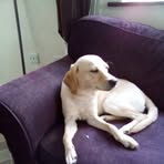 Jonny Duncan - Facebook